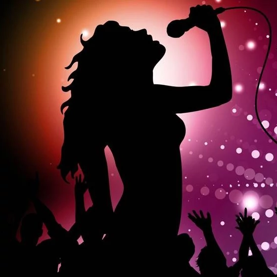 Купить Караоке системы от 285000 руб