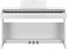 Фото музыкального инструмента Yamaha YDP-143WH Arius  Цифровое пианино , 88 клавиш, клавиатура молоточковая, GHS, 192 полифония